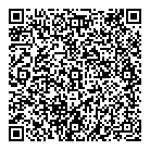 QR код "Викинг"