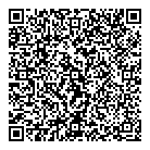 QR код "Домино"