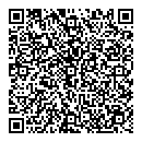QR код "Венеция"