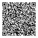 QR код "Спутник"