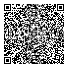 QR код "ДОМ100"