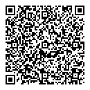 QR код "Индиго"