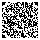 QR код "Король лев"