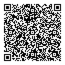 QR код "Глобус"