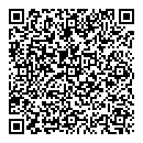 QR код "Мир"