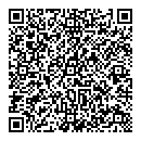 QR код "Альфа-аудит"