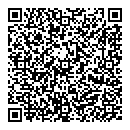 QR код "Айсберг"
