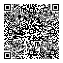 QR код "Стелс"