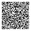 QR код "Звездочка"