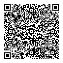 QR код "Дуплет"