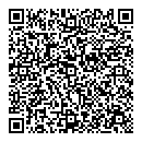 QR код "Арсенал"