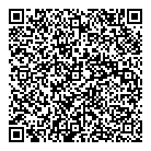 QR код "Звездный"