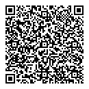 QR код "Глобус"