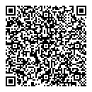 QR код "Домино"