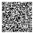 QR код "Глобус"