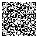 QR код "Гейзер"