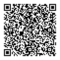 QR код "Мир"