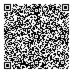 QR код "Сокол"