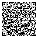 QR код "Аудит-Профи"