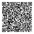QR код "Cluster"