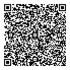 QR код "Сателлит"