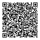 QR код "Домино"