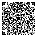 QR код "Хохлома"