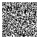 QR код "Frizbe"