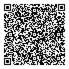 QR код "ДНС"