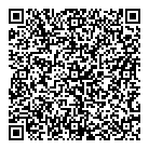 QR код "ДНС"