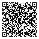 QR код "Алиса"