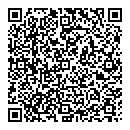 QR код "Авиатор"
