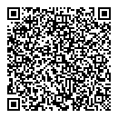 QR код "Мир"