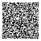 QR код "Тесла"