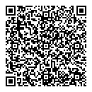 QR код "Алсу"