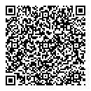 QR код "Чип и Дейл"