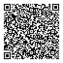 QR код "Старка"