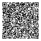 QR код "33 пингвина"