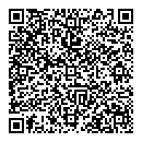 QR код "Про100"