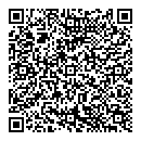 QR код "Викинг"
