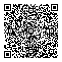 QR код "Торус"