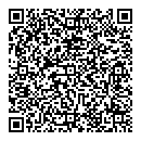 QR код "Geometric"
