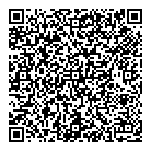 QR код "Кот-бегемот"