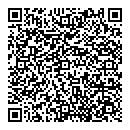 QR код "Гвоздик"