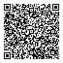 QR код "Салют-1"