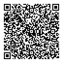 QR код "Метеор"