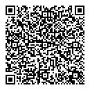 QR код "Шишка"