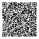 QR код "Art-CAR"