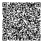 QR код "Звездная ночь"