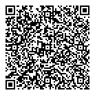 QR код "Алладин"